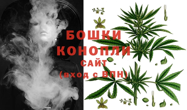 метадон Белокуриха