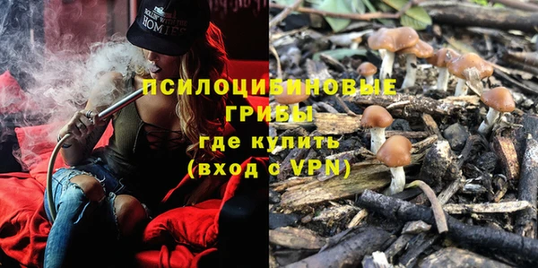 метадон Белокуриха